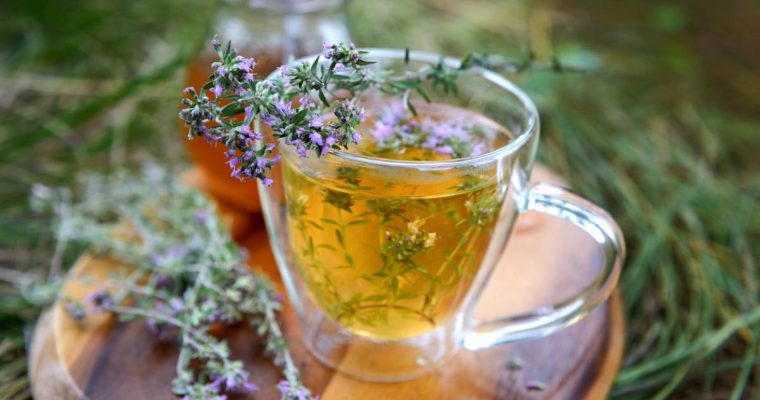 Quelle est la différence entre thé et infusion ?